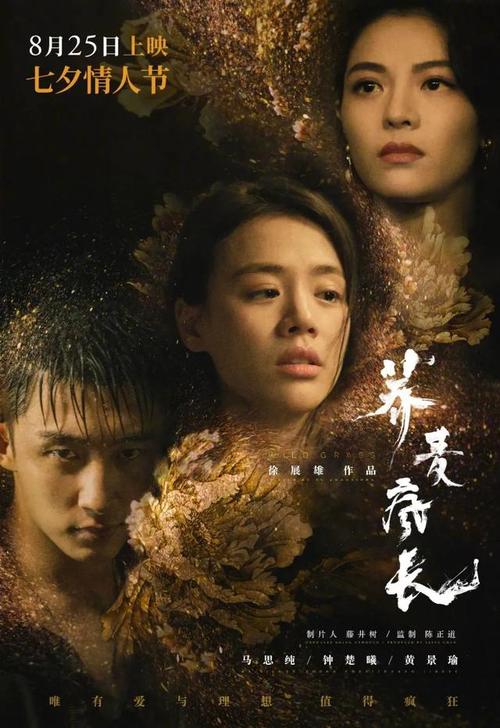 不动产登记证号在哪里看